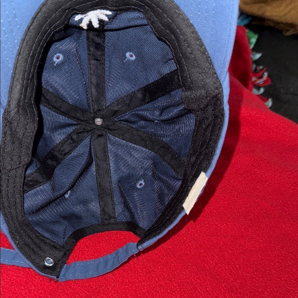 Blue Embroidered Cap - Picture 4 of 5